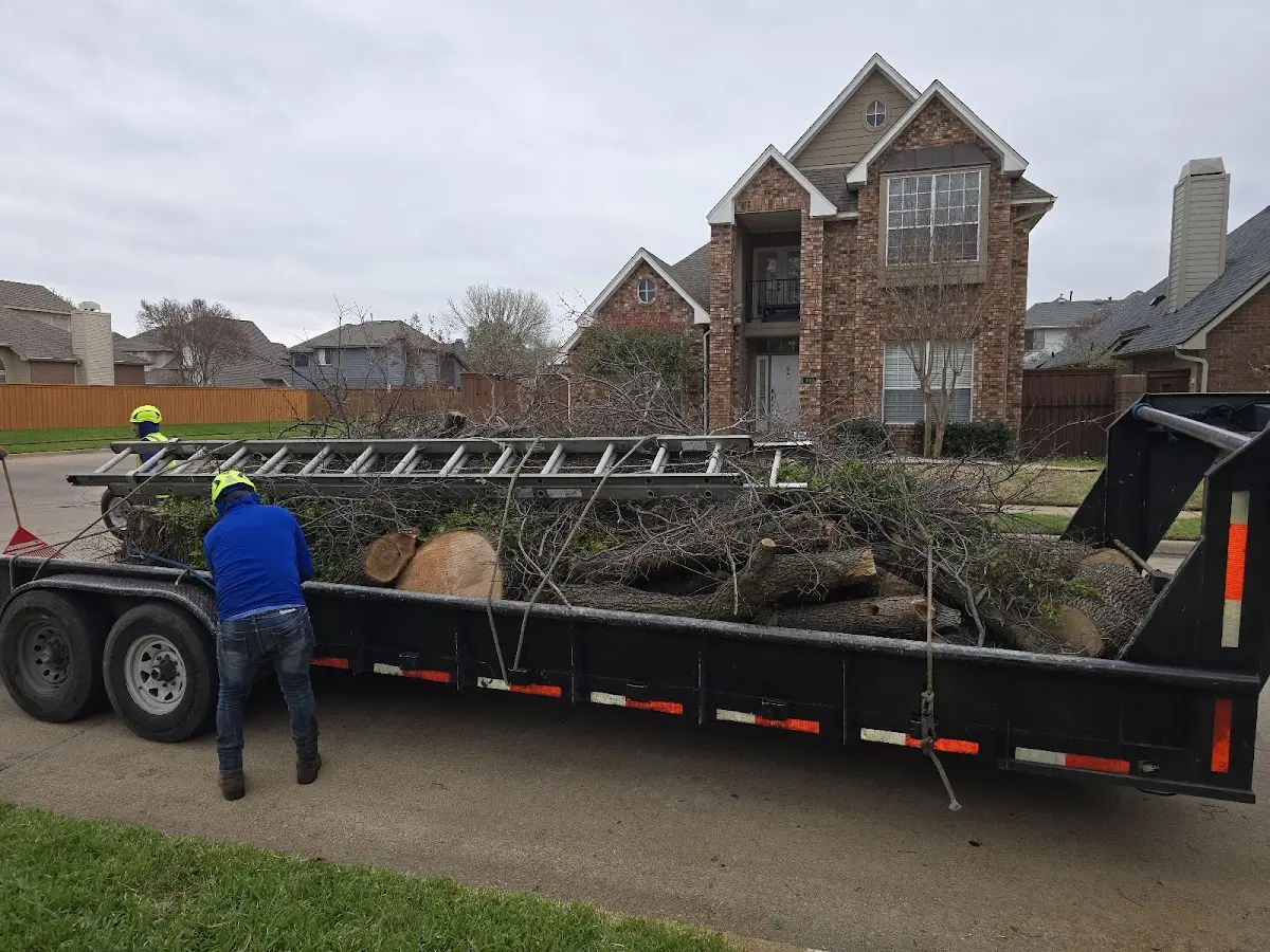 Expert Lot Clearing with proper safety equipment in Lindsay